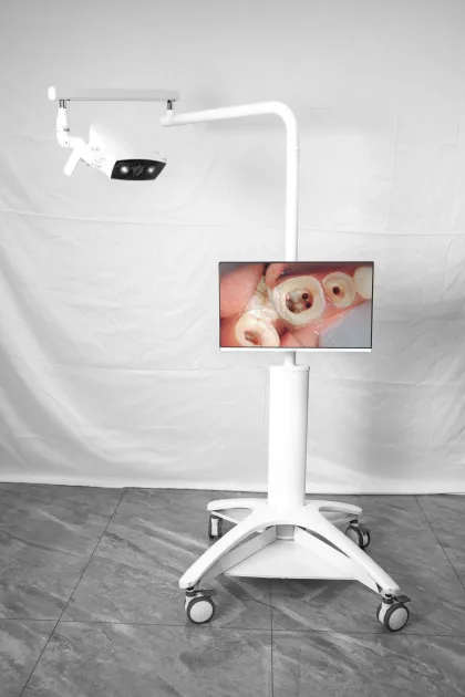 Dual-light Camera with cart