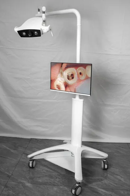 Dual-light Camera with cart