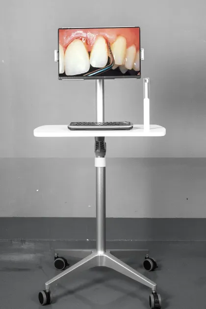 Intraoral Camera